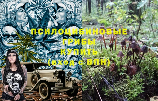 амфетамин Алексин