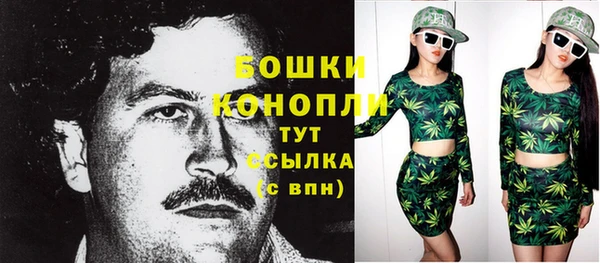 стаф Мегион
